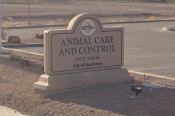 Henderson's Animal Control Shifts from Police to Community Services, Stirring Mixed Reactions