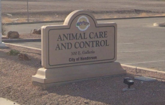 Henderson's Animal Control Shifts from Police to Community Services, Stirring Mixed Reactions