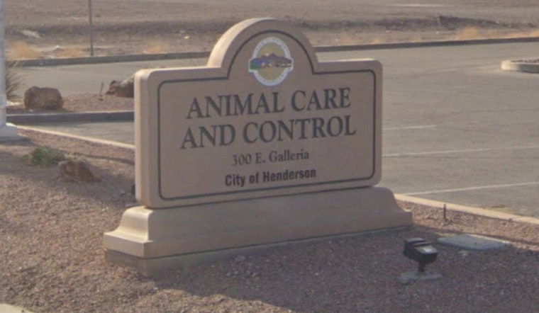 Henderson's Animal Control Shifts from Police to Community Services, Stirring Mixed Reactions