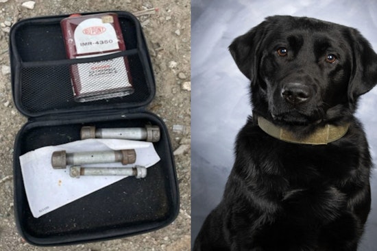 Heroic K-9 Loki Discovers Live Pipe Bombs in Abandoned Vehicle During Saginaw Patrol