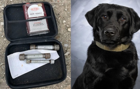 Heroic K-9 Loki Discovers Live Pipe Bombs in Abandoned Vehicle During Saginaw Patrol