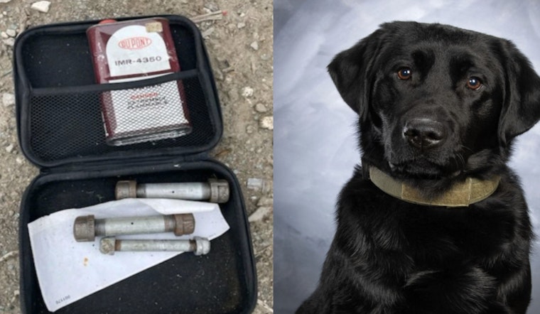 Heroic K-9 Loki Discovers Live Pipe Bombs in Abandoned Vehicle During Saginaw Patrol