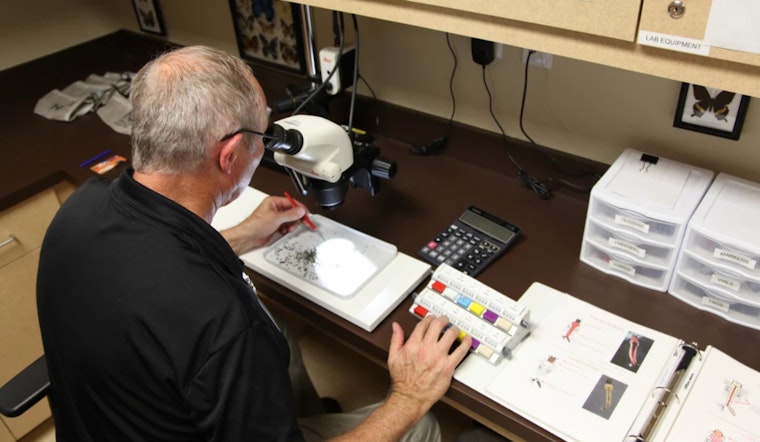 Hillsborough County's Mosquito Management Celebrates 75 Years of Innovation in Partnership with USF