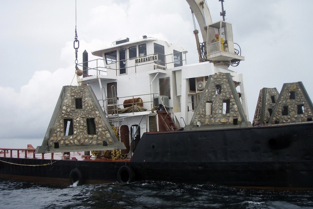 Hollywood Teams Up with Ocean Rescue Alliance for "Guardians of the Reef" Snorkel-Friendly Artificial Reef