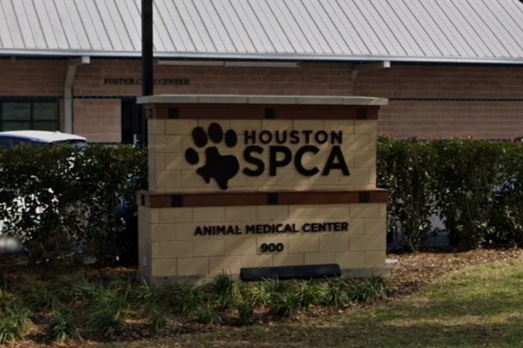Houston Dog Succumbs to Heat on Apartment Balcony, Investigation for Potential Cruelty Underway