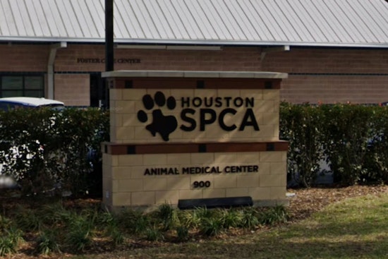 Houston Dog Succumbs to Heat on Apartment Balcony, Investigation for Potential Cruelty Underway