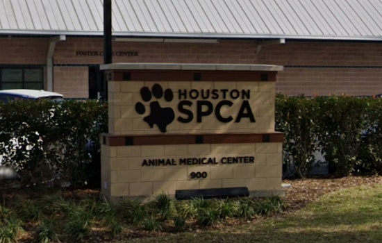 Houston Dog Succumbs to Heat on Apartment Balcony, Investigation for Potential Cruelty Underway