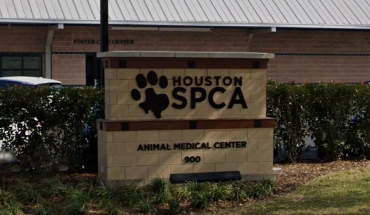 Houston Dog Succumbs to Heat on Apartment Balcony, Investigation for Potential Cruelty Underway