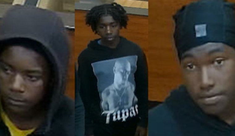 Houston Police Seek Public's Aid to Nab Suspects in North Houston Robbery Spree