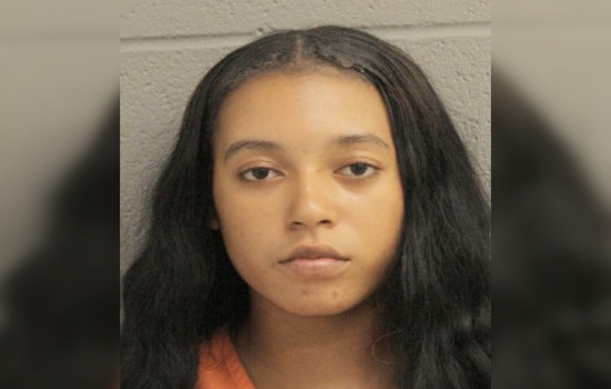 Houston's North Freeway Target Shoplifting Incident Leads to Arrest and Community Dialogue on Socio-Economic Issues