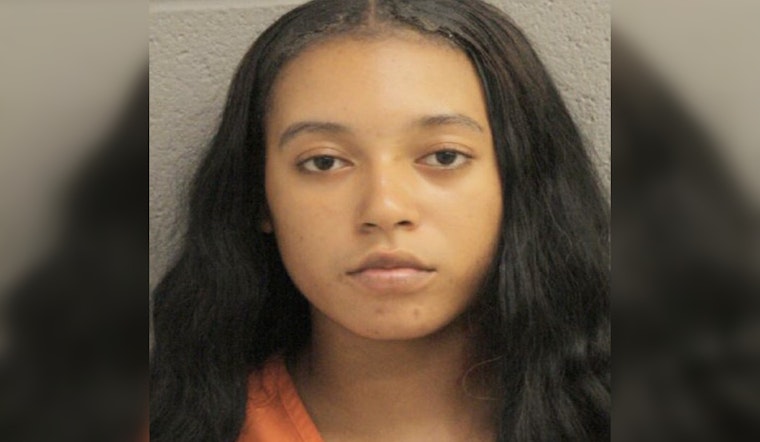 Houston's North Freeway Target Shoplifting Incident Leads to Arrest and Community Dialogue on Socio-Economic Issues