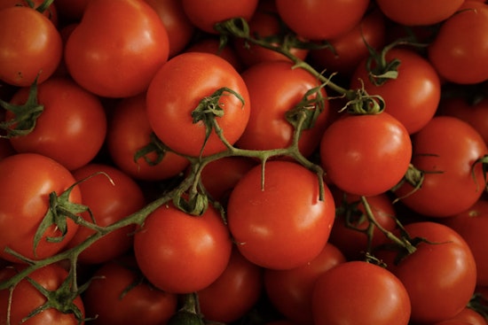 Indianapolis-Based Ray & Mascari Inc. and Williams Farms Repack LLC Issue Multi-State Tomato Recall Over Salmonella Concerns