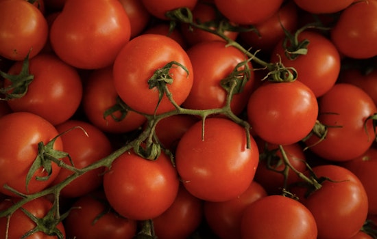 Indianapolis-Based Ray & Mascari Inc. and Williams Farms Repack LLC Issue Multi-State Tomato Recall Over Salmonella Concerns