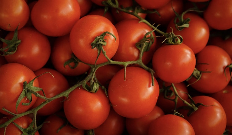 Indianapolis-Based Ray & Mascari Inc. and Williams Farms Repack LLC Issue Multi-State Tomato Recall Over Salmonella Concerns