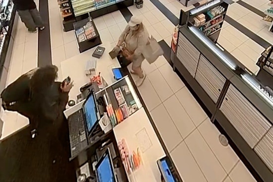 Irvine Police Nab Chilean Theft Ring Duo at Dana Point After Crime Spree at Local Retailers