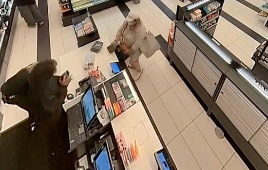 Irvine Police Nab Chilean Theft Ring Duo at Dana Point After Crime Spree at Local Retailers