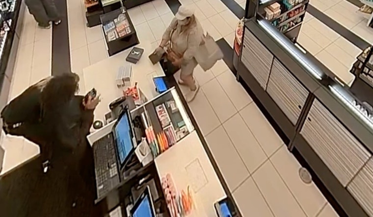 Irvine Police Nab Chilean Theft Ring Duo at Dana Point After Crime Spree at Local Retailers