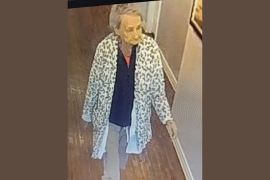 Irving Police Issue Silver Alert for Missing 93-Year-Old Christine Baldzicki, Community Urged to Assist in Search Efforts