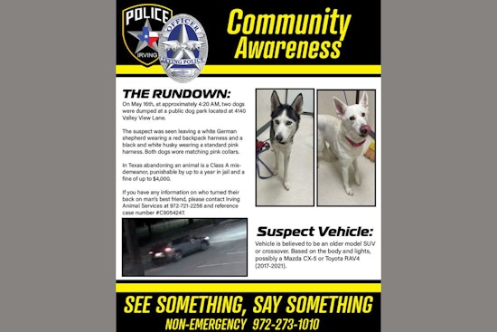 Irving Police Seek Assistance to Identify Suspect in Dog Abandonment Case