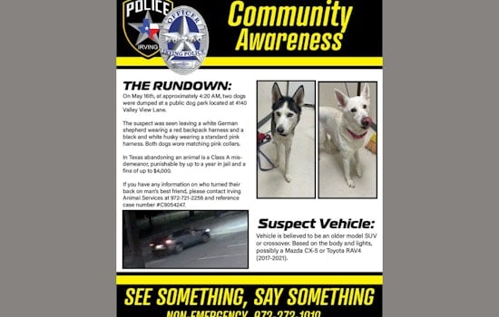 Irving Police Seek Assistance to Identify Suspect in Dog Abandonment Case