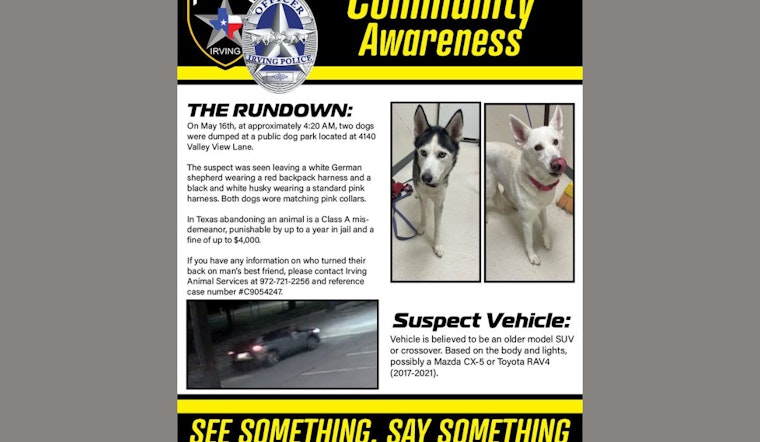 Irving Police Seek Assistance to Identify Suspect in Dog Abandonment Case
