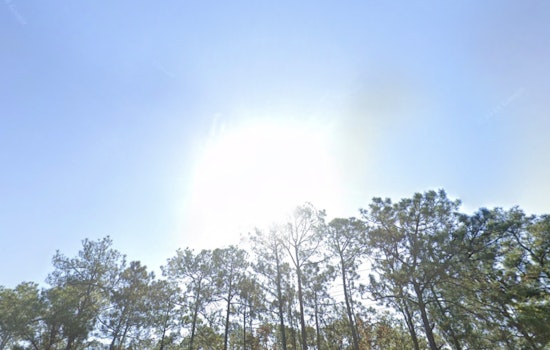 Jacksonville Faces Heat Index Over 100 with Chances of Showers and Thunderstorms