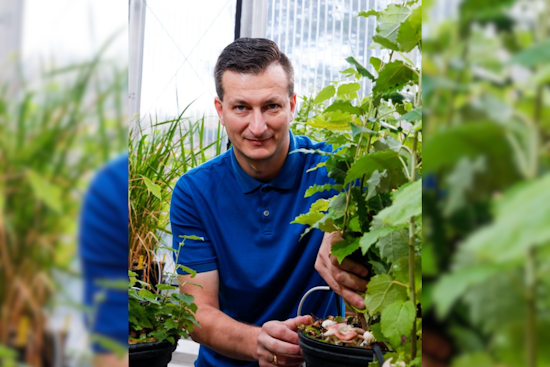 Jesse Labbé Appointed Director of Biosciences at ORNL, Aims to Transform Scientific Discoveries into Industry and Healthcare Innovations