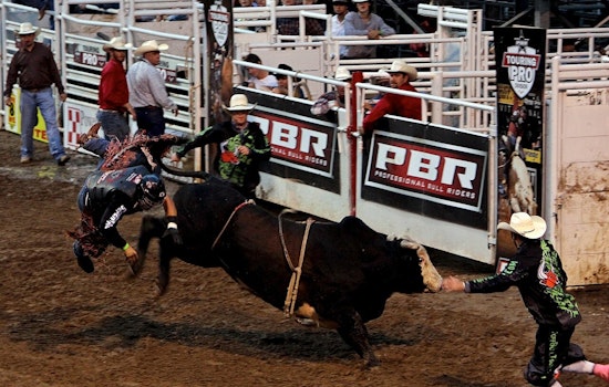 Jose Vitor Leme Captures Third PBR World Championship, Makes Historic Comeback with Austin Gamblers