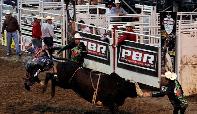 Jose Vitor Leme Captures Third PBR World Championship, Makes Historic Comeback with Austin Gamblers