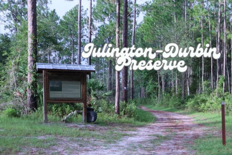 Julington-Durbin Preserve in Jacksonville Closed Due to Wildfire Aftermath, Public Safety Measures in Place