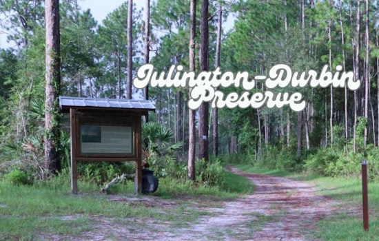 Julington-Durbin Preserve in Jacksonville Closed Due to Wildfire Aftermath, Public Safety Measures in Place