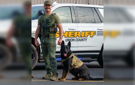 Juvenile Apprehended with Hidden Gun After Foot Chase in Monroe, NC