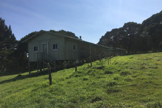 Keanakolu Bunkhouse and Ranger Cabins in Hilo Now Open Weekly to Campers and Nature Lovers