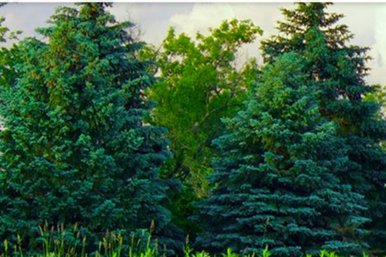 Kenosha County Asks Residents to Shape Future Health Priorities through Online Survey and Photo Campaign