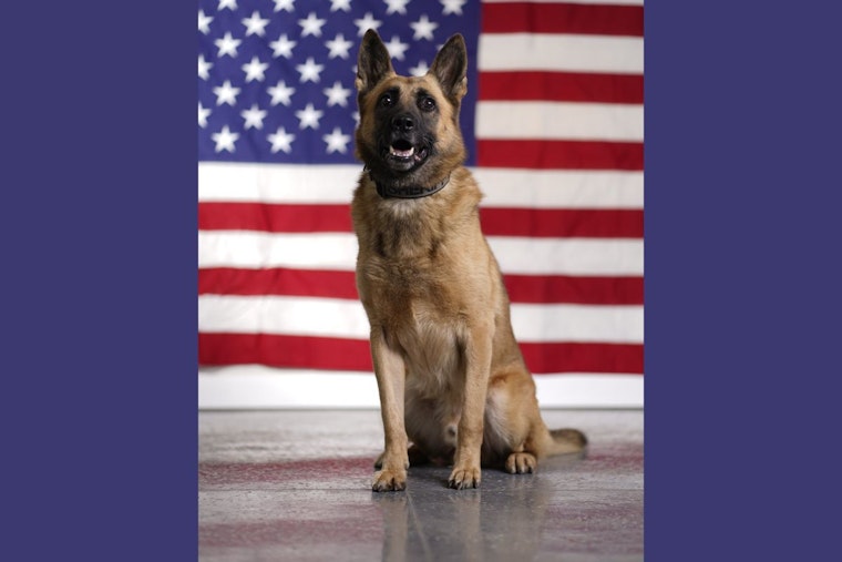 Knox County Sheriff's Office Remembers Retired K9 Rocco's Legacy of Service