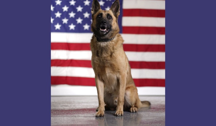 Knox County Sheriff's Office Remembers Retired K9 Rocco's Legacy of Service