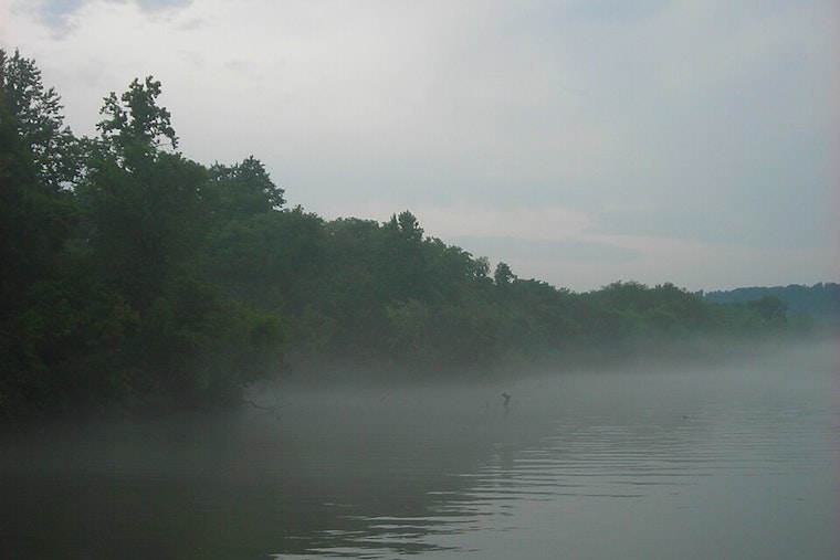 Knoxville Enveloped in Fog: NWS Issues Weather Warnings as Storms Approach