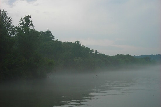 Knoxville Enveloped in Fog: NWS Issues Weather Warnings as Storms Approach