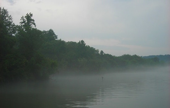 Knoxville Enveloped in Fog: NWS Issues Weather Warnings as Storms Approach