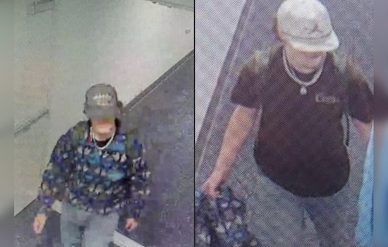 Knoxville Police Seek Public's Help to Identify Suspect in Assault at Union Knoxville Apartments