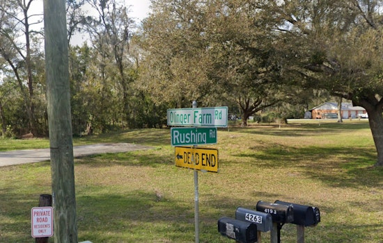 Lakeland Man Charged with Animal Cruelty After Six Horses Found Malnourished in Polk County