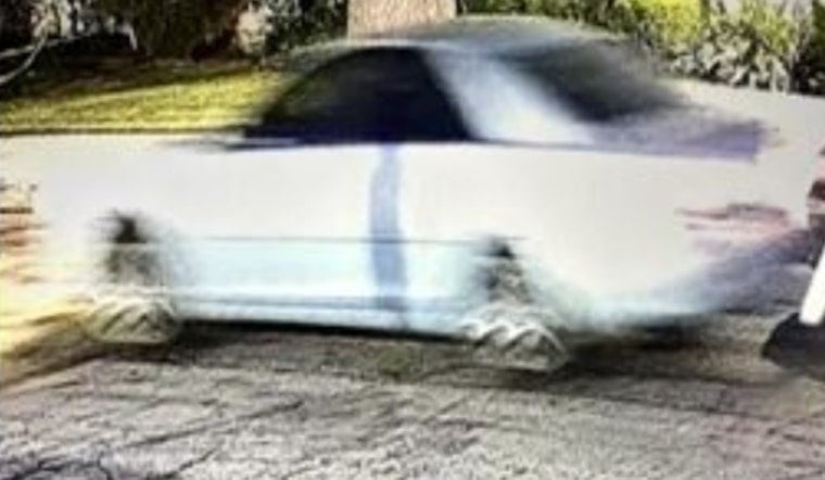LAPD Offers $50,000 Reward for Information on Fatal Hit-and-Run in Canoga Park