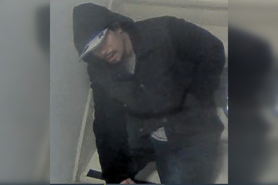 LAPD Seeks Public's Help in Capturing Suspect of Valley Village Homicide