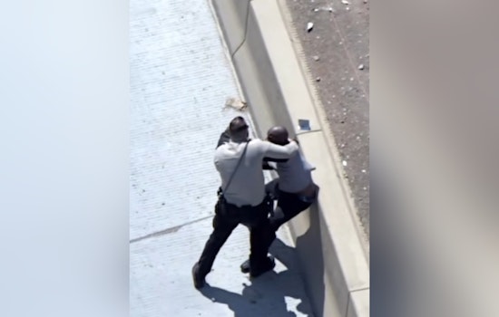 Las Vegas Community and Police Collaborate to Safely Apprehend Assault Suspect on Freeway
