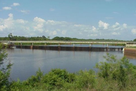 LDWF Announces Summer Drawdown of Saline Lake to Combat Invasive Vegetation and Enhance Fish Habitats