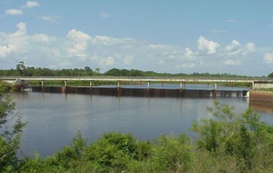 LDWF Announces Summer Drawdown of Saline Lake to Combat Invasive Vegetation and Enhance Fish Habitats