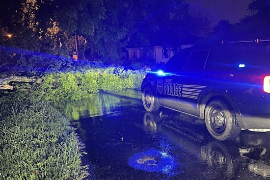 Lebanon Commuters Diverted as Fallen Tree Blocks Slone Street at West Spring Street