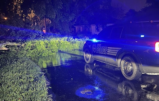 Lebanon Commuters Diverted as Fallen Tree Blocks Slone Street at West Spring Street