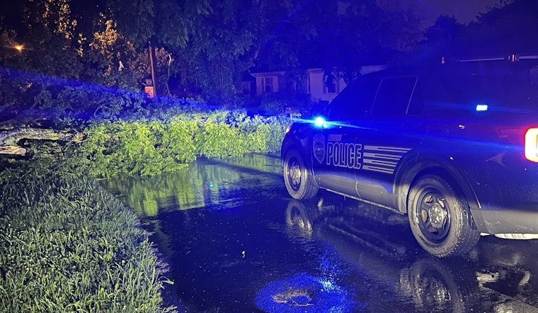 Lebanon Commuters Diverted as Fallen Tree Blocks Slone Street at West Spring Street