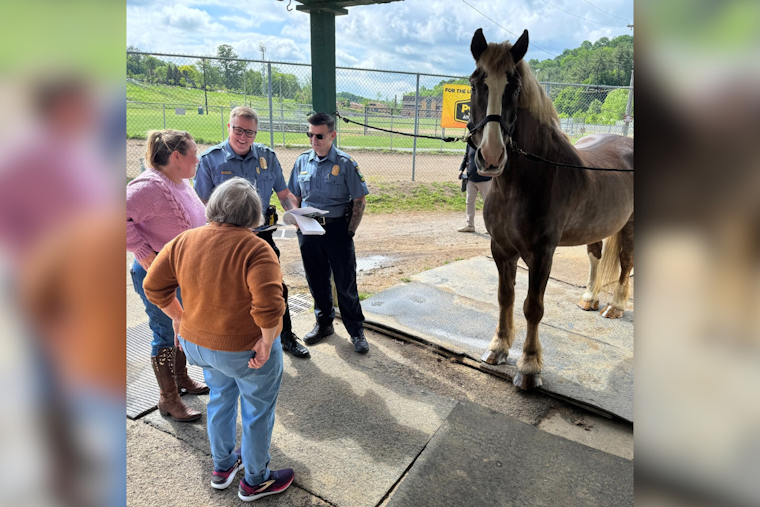 Long-serving Allegheny County Police Horse, Henry, Retires After 18 Years on the Force